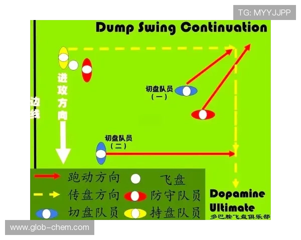 南京飞盘队的转换得失分析与战术调整探讨